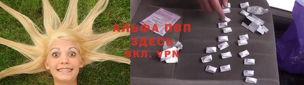 стафф Алексеевка