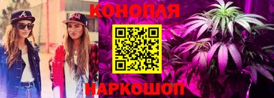стафф Нальчик