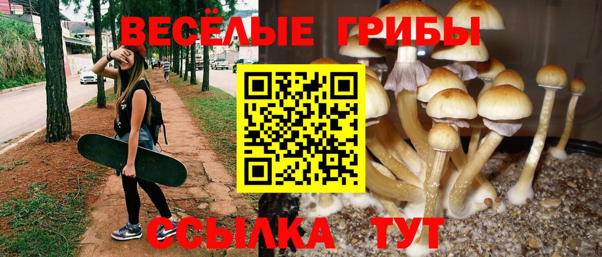 Псилоцибиновые грибы мицелий Бирск